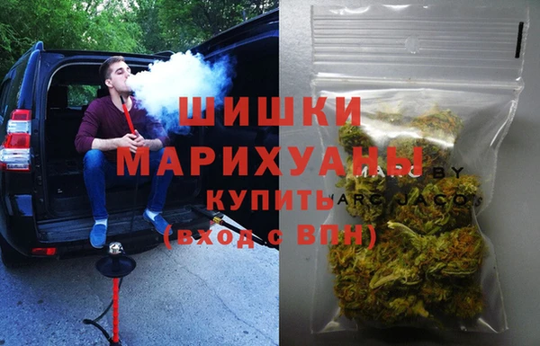 прущие грибы Беломорск