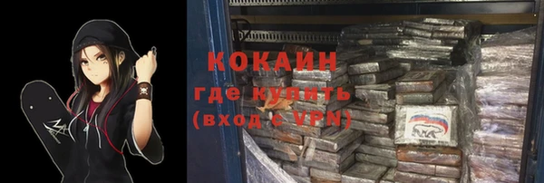 прущие грибы Беломорск