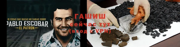 прущие грибы Беломорск