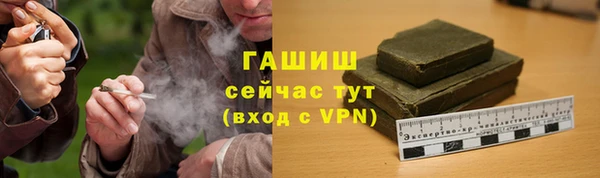 прущие грибы Беломорск