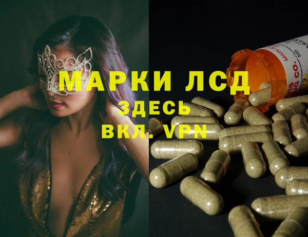 прущие грибы Беломорск